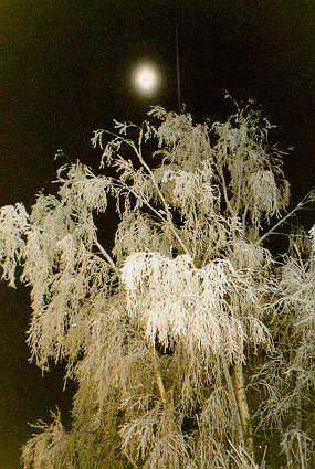 Wintermoon